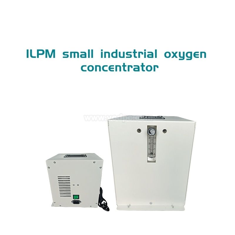 1LPM Small Industrial oxygen concentrator